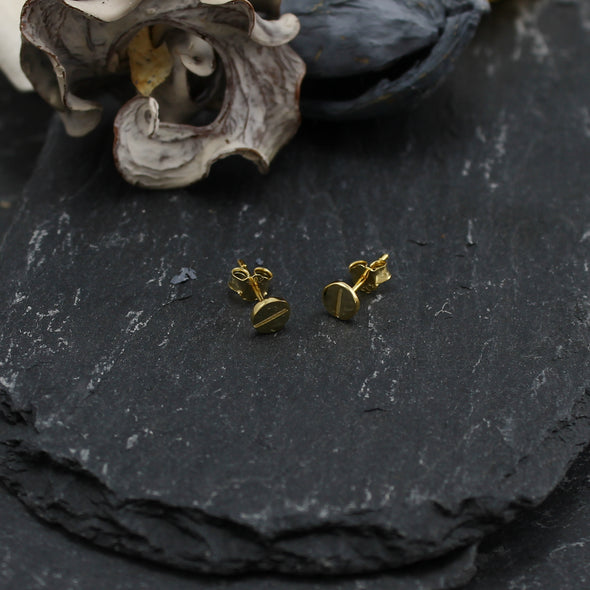 Screw Head Stud Earrings Gold-Plated Sterling Silver Earrings for Women with Jewellery Gift Box - Gift for Women